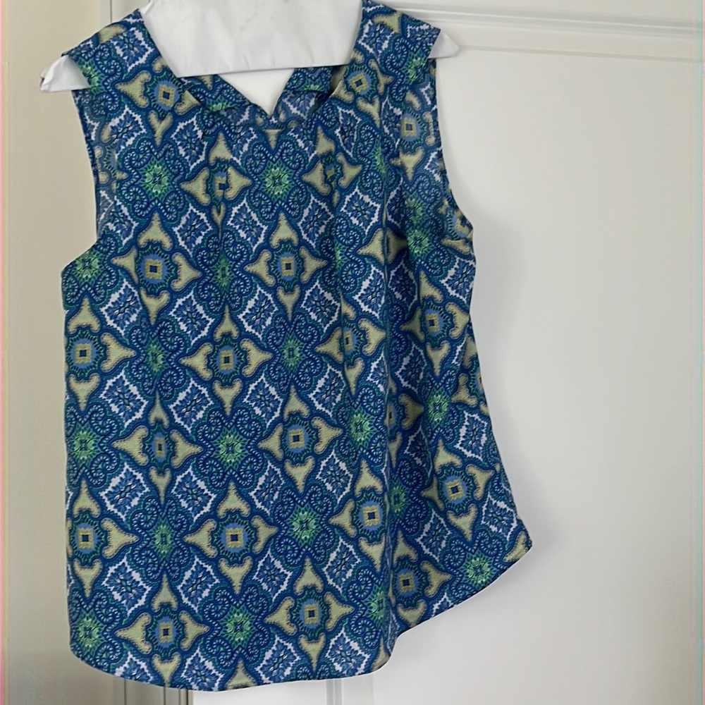 , Gorgeous sleeveless top.